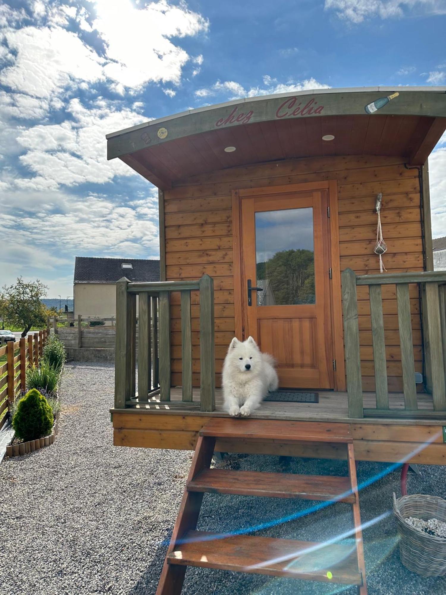 Chez Celia, Roulotte En Champagne Villa Fleury-la-Riviere Exterior foto