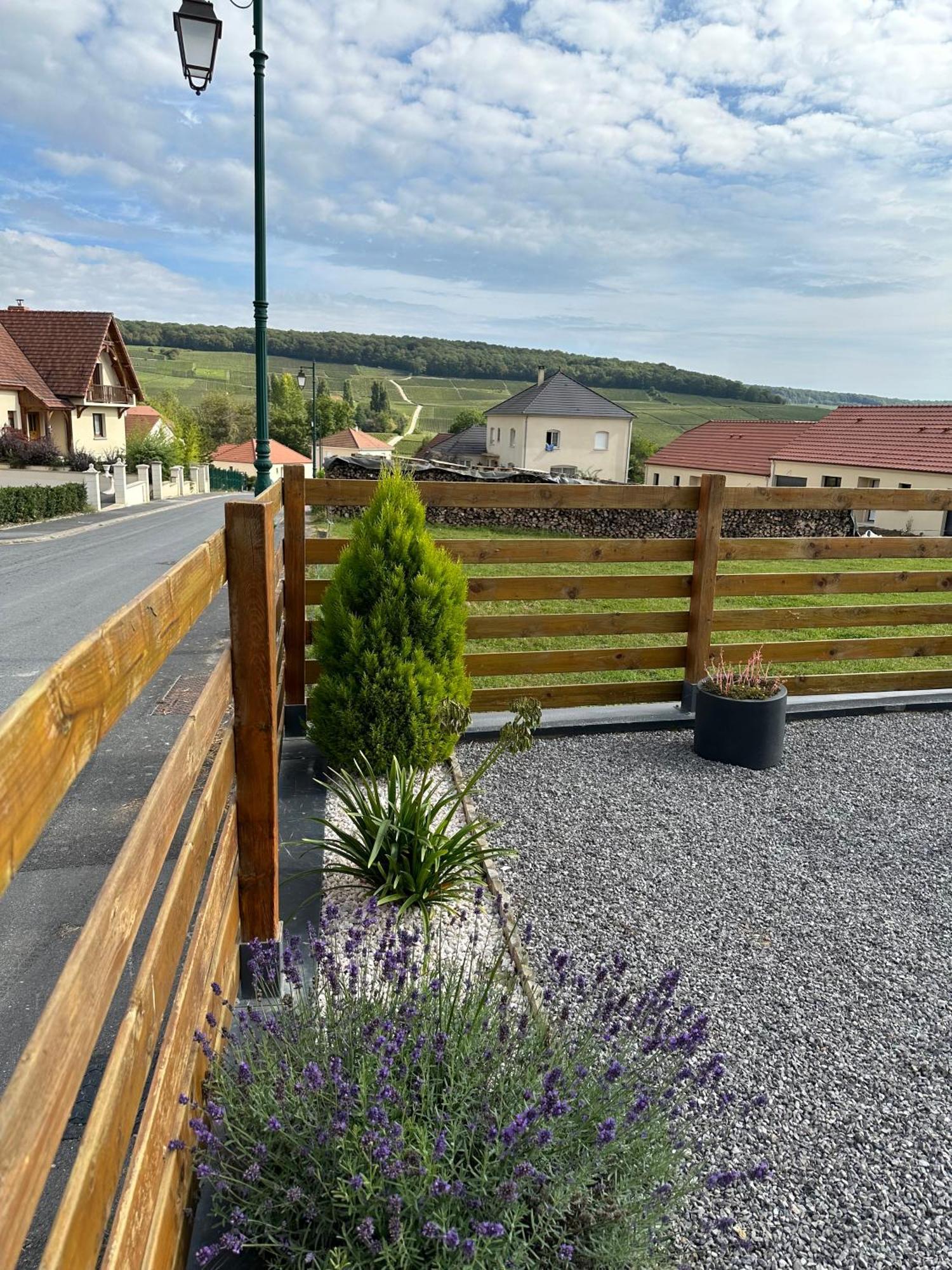 Chez Celia, Roulotte En Champagne Villa Fleury-la-Riviere Exterior foto